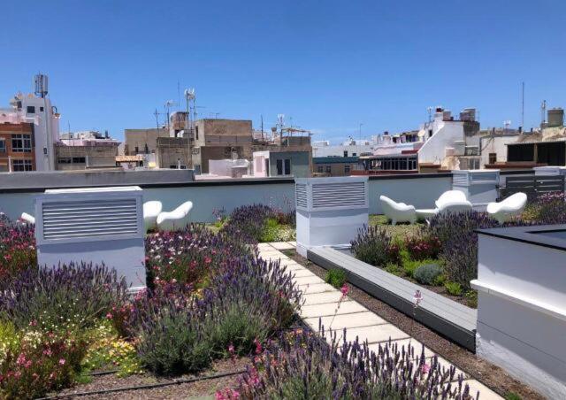 Zen Garden Apartment Лас Палмас де Гран Канария Екстериор снимка