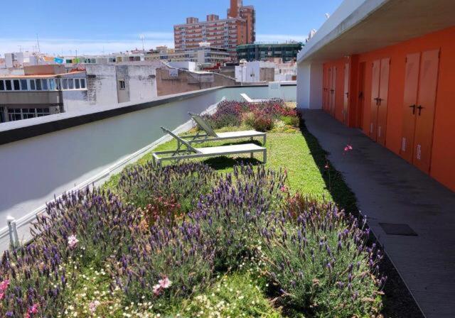 Zen Garden Apartment Лас Палмас де Гран Канария Екстериор снимка